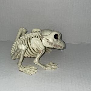 FROG SKELETON SPOOKY BONEZ ANIMAL HALLOWEEN HOUSE PROP DECORATION